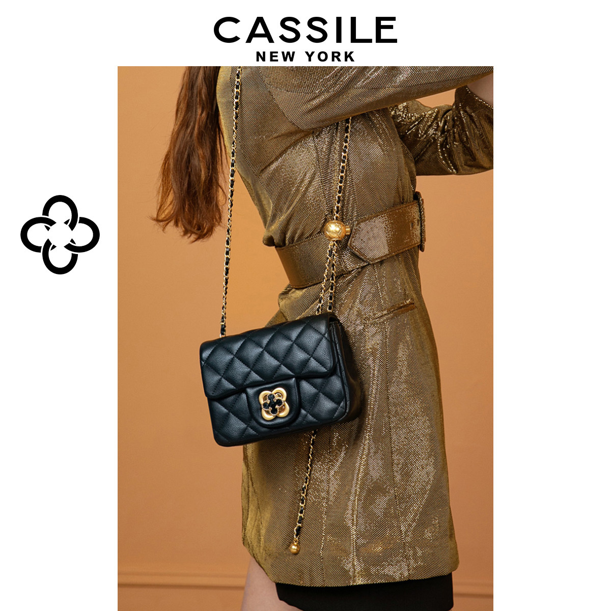 cassile卡思乐女包包2023新款高级感质感链条腋下包单肩斜挎包潮