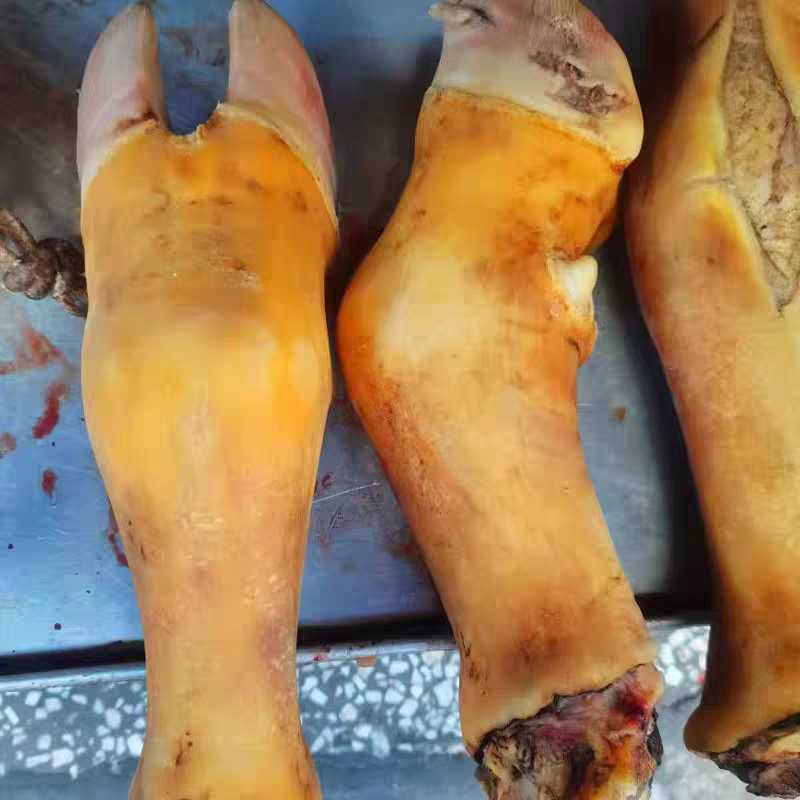 云南宣威新鲜黄牛蹄子 生牛蹄牛脚黄牛蹄牛掌牛脚