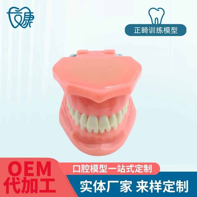 正畸错位牙齿模型牙齿矫正模型厂家直供口腔教学模型牙齿托槽矫正