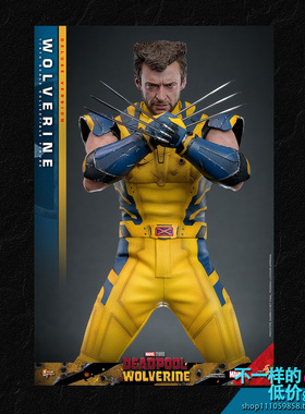 MMS754 HOTTOYS 1/6《死侍与金刚狼》金刚狼 豪华版可动兵人