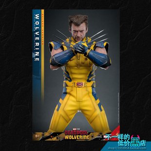 MMS754 HOTTOYS 1/6《死侍与金刚狼》金刚狼 豪华版可动兵人