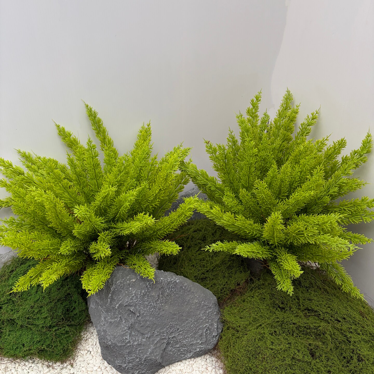 仿真狐尾天门冬花箱盆栽仿真蕨类植物商场造景绿植墙装饰插花小草