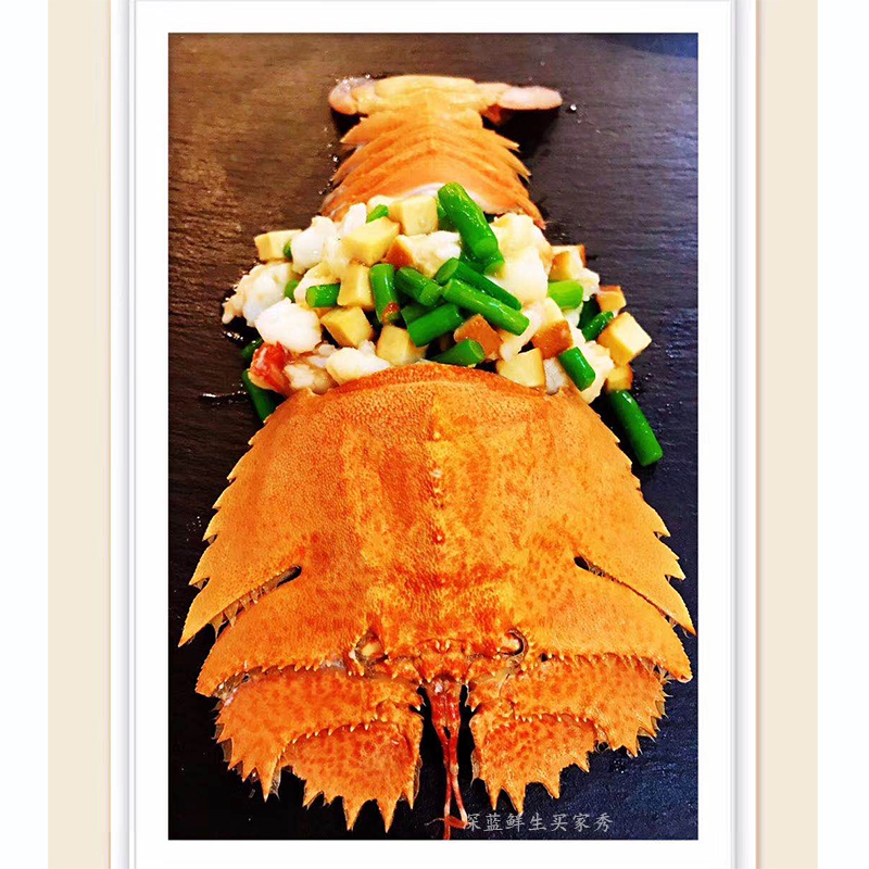 琵琶虾 皮皮虾 九齿扇虾 虾排 大龙虾 虾菇排 500g/(3-4只)刺身级