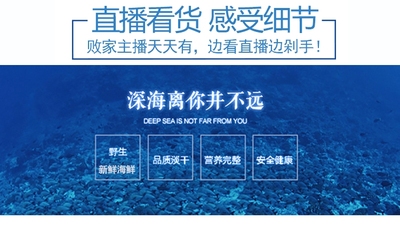 【深蓝鲜生直播间专拍链接】称多少拍多少鲜活海鲜鱼虾螃蟹龙虾