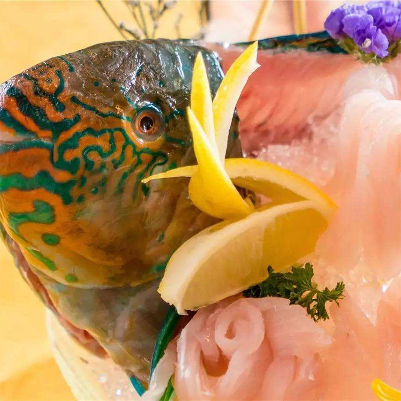 野生海鲜深海捕捞大青衣鱼生鲜鲜活速冻新鲜刺身青石斑鱼按实称重