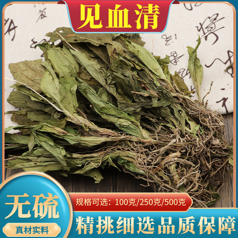 见血清中药材500g克整颗见血青草药羊儿蒜全株立地好包邮见血清苗