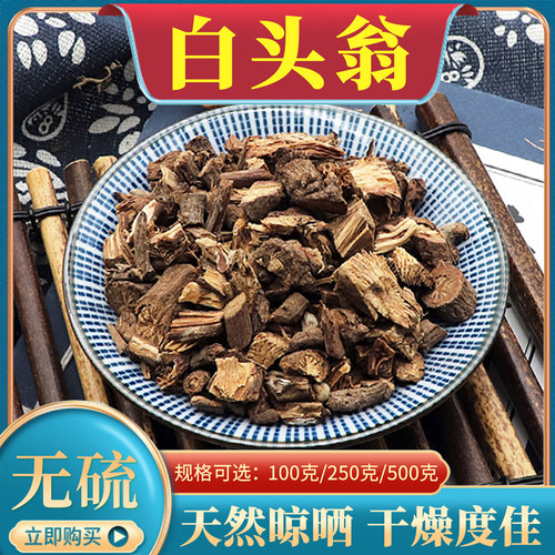 白头翁白花白头翁野丈人胡王使者