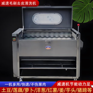 毛辊去皮清洗机商用土豆芋头洋葱生姜莲藕猪蹄生蚝食堂加工厂脱皮