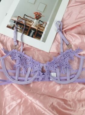 小胸8085A 外贸网纱透视镂空性感文胸 法式刺绣薄款纯欲内衣