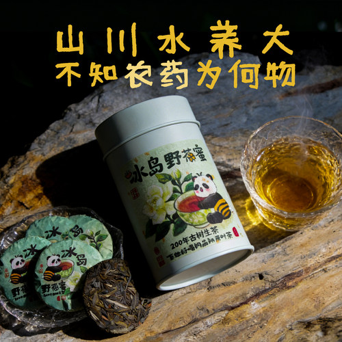 冰岛古树茶年轻人的第一泡好茶