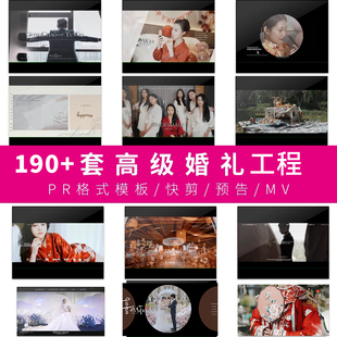 2024高级婚礼PR模板预设快剪短片预告MV190套合集工程字幕素材lut