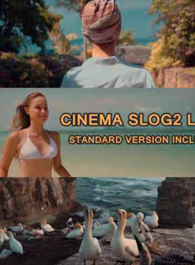 索尼 SONY SLOG2 专业调色Luts ，44款