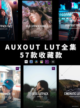 AUXOUT Lut旅拍人像合集索尼lut 57款HLG2/cine/slog2/slog3 pp值