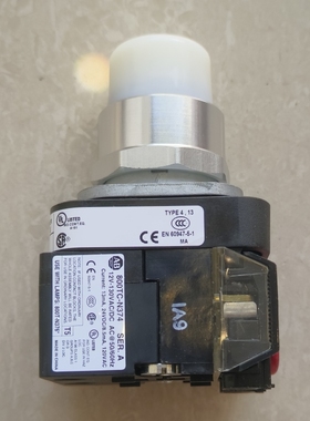 Allen-Bradley罗克韦尔白色带灯按钮800TC-QTH2W N376W 800TCN374