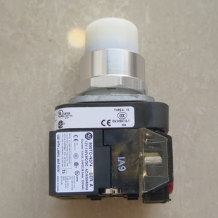 N376W QTH2W 800TCN374 Bradley罗克韦尔白色带灯按钮800TC Allen