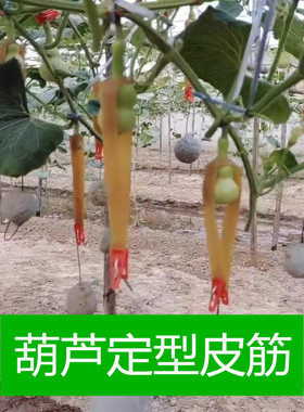 葫芦定型皮筋葫芦夹子坠葫芦皮筋小葫芦小八宝蚂蚁肚定型葫芦正形