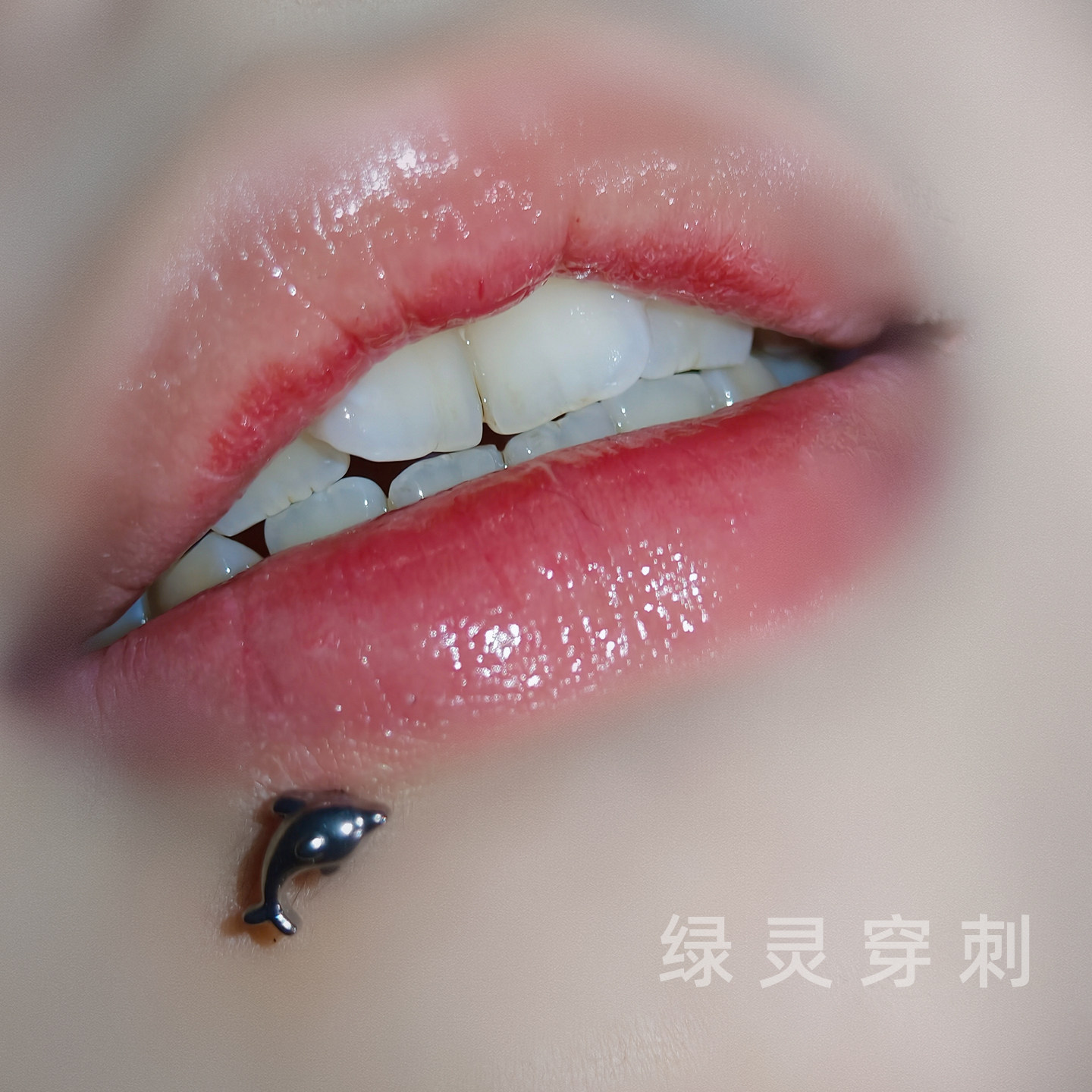 绿灵 海洋物语 海豚唇钉钢钛内螺纹小动物直钉耳骨钉辣妹穿刺饰品,饰品/流行首饰/时尚饰品新,唇环/唇钉,淘宝优惠券,粉丝福利购,淘宝优惠卷