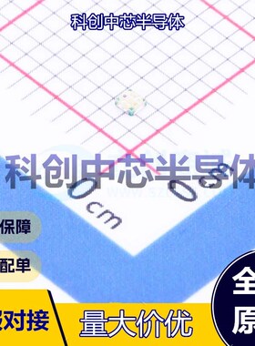 20个 XL-1010SURUGC 发光二极管/LED SMD-4P,1x1mm 红色,翠绿色 2