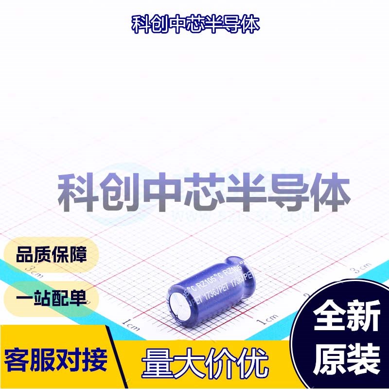 10个 ERZ1HM101E12OT 直插铝电解电容 插件,D6.3xL12mm 100uF ±2