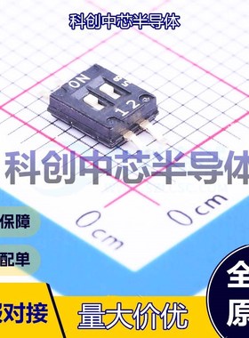 1个 DHNF-02-V-T/R 拨码开关 SMD-4P,3.8x4.5mm 平拨,凹槽式 单刀