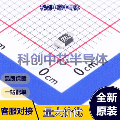 10个 RLM12FTCMR002 电流采样电阻/分流器 1206 采样电阻 2mΩ ±