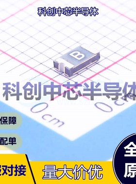 10个 1206L016WR 自恢复保险丝 1206 30V 100A 160mA 370mA 全新