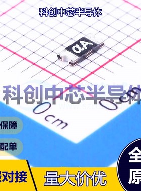 20个 nSMD025-30V 自恢复保险丝 1206 30V 100A 250mA 500mA 全新