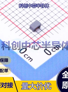 20个 CC2012A-801 共模滤波器 SMD,2x1.2mm 2 125V 300mA 50V 全