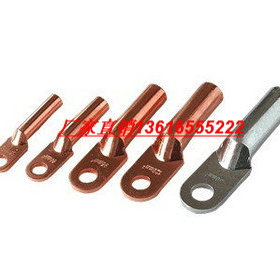 HS 包邮 DT-300mm2 紫铜国标 5只 紫铜本色