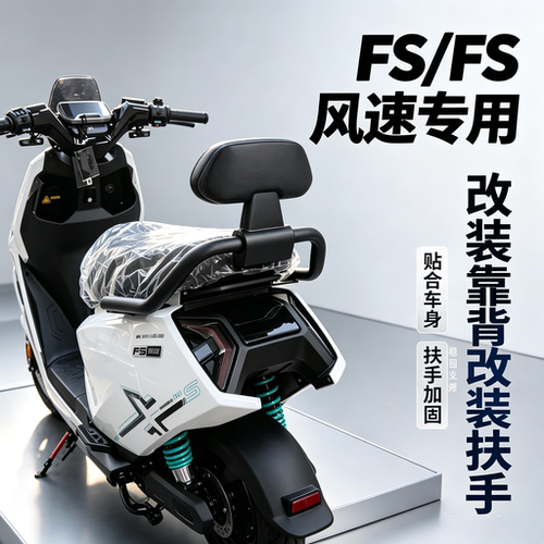 适用FS风速/FSCiti/FSpro/FSplay靠背后扶手电动车FS一体座扶手