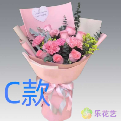 生日纪念康乃馨广东中山花店送花民众镇南朗镇三乡镇同城鲜花速递
