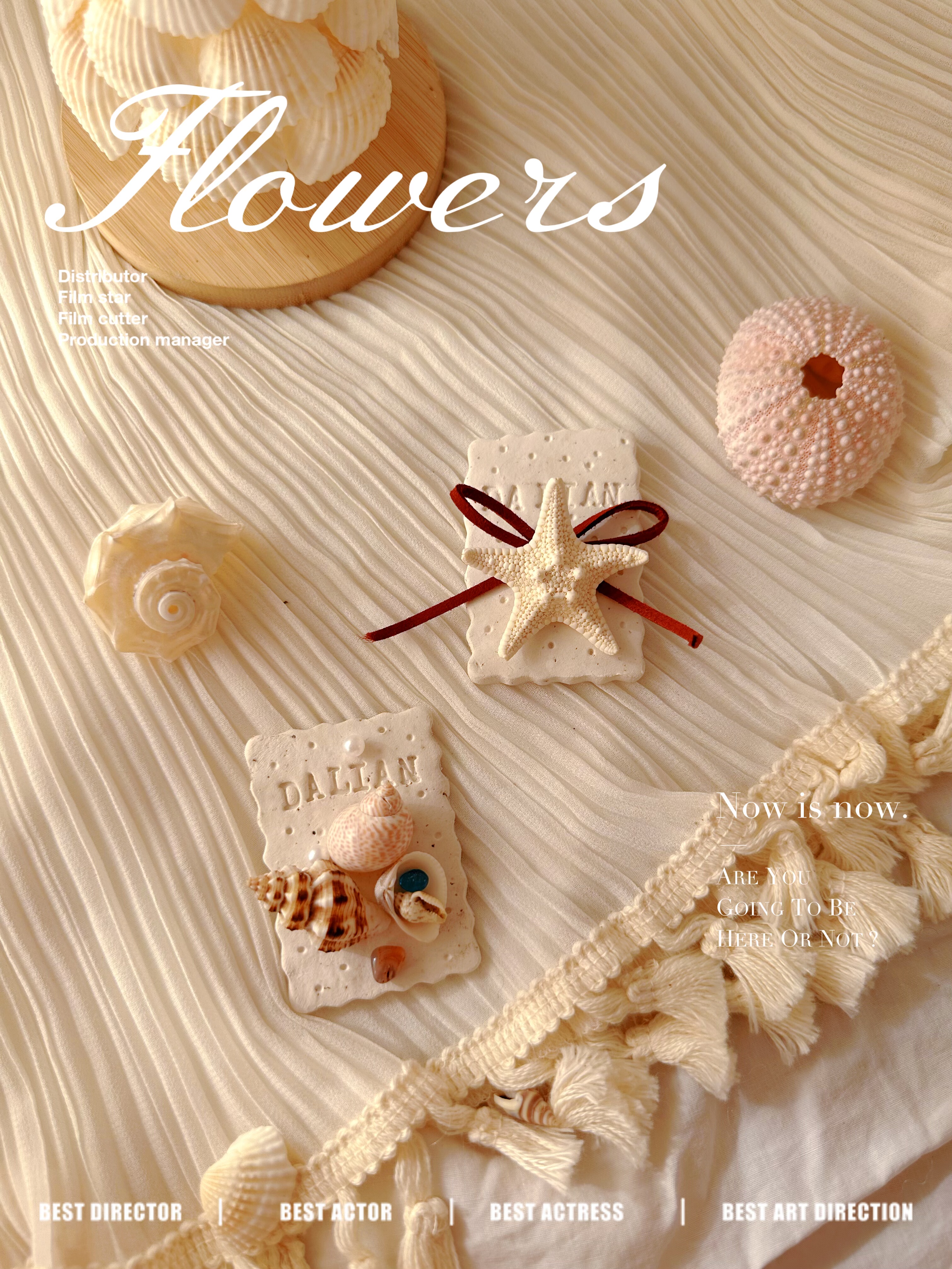 天然海螺贝壳冰箱贴大连青岛海南石塑粘土磁力冰箱贴海洋风纯手工