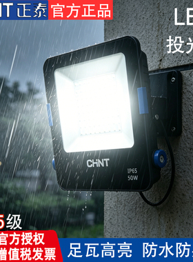 正泰LED投光灯户外照明灯防水探照灯方形农村家用工厂投射灯IP65