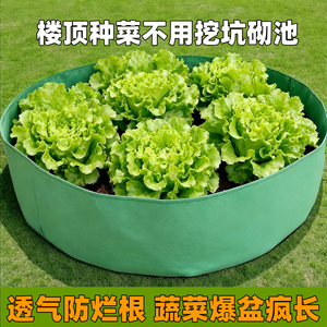 特大楼顶阳台种植袋加厚无纺布