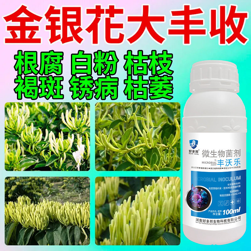 金银花专用叶面肥金银花保花保果提质增产肥料金银花抗病抗逆肥料