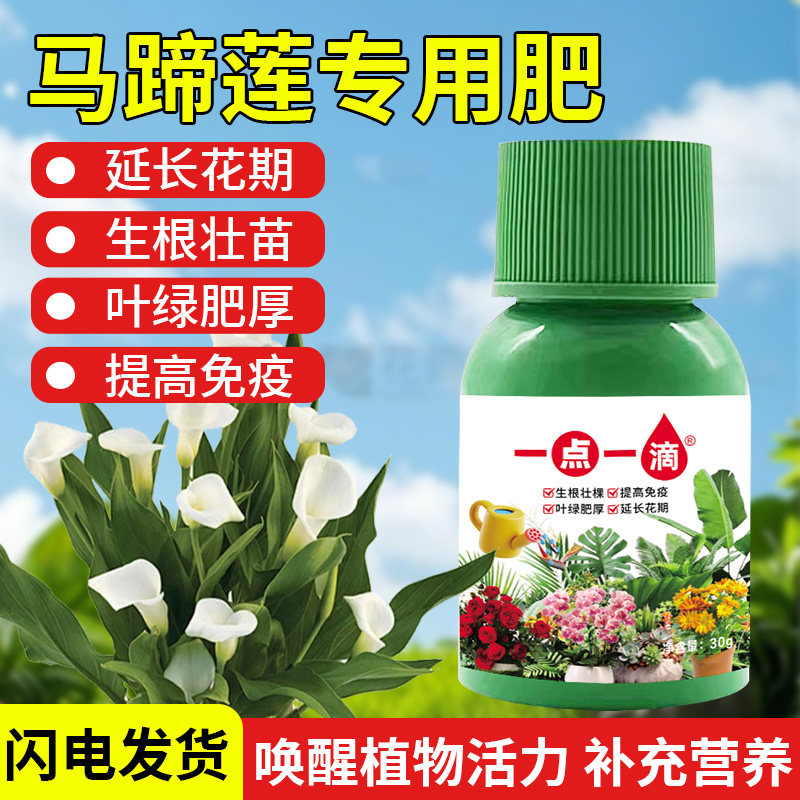 马蹄莲专用肥料盆栽植物种球水培土培发芽营养液促长花箭开花肥料