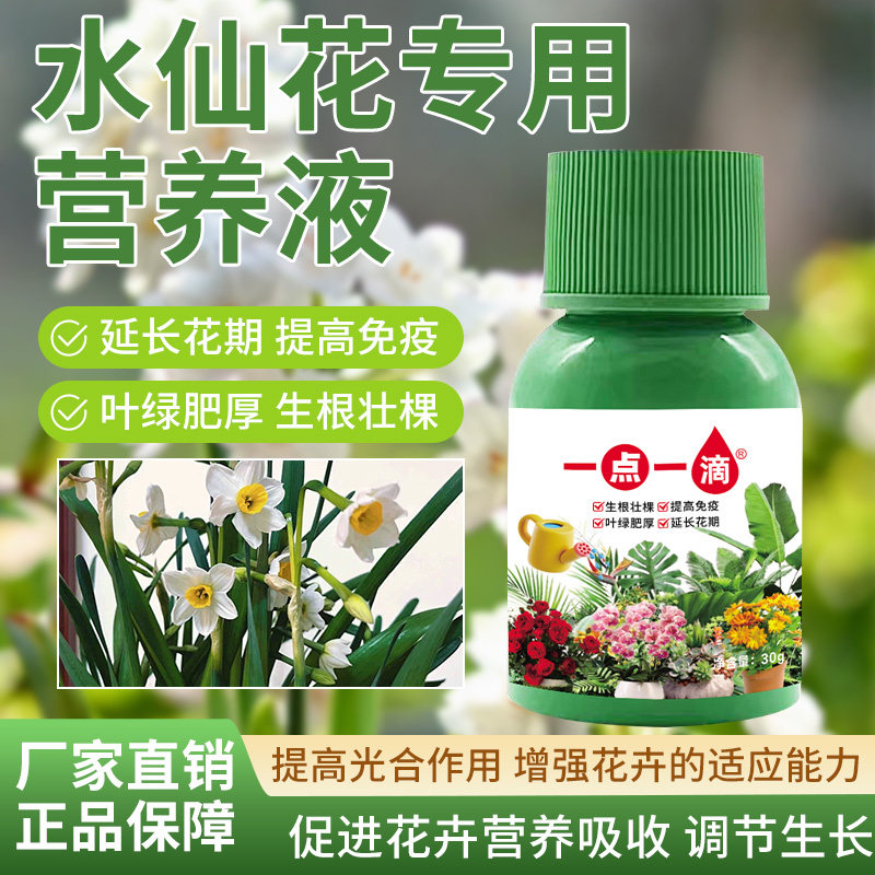 水仙花营养液花肥养花树苗插花植物型水溶肥农用水养液体肥盆景