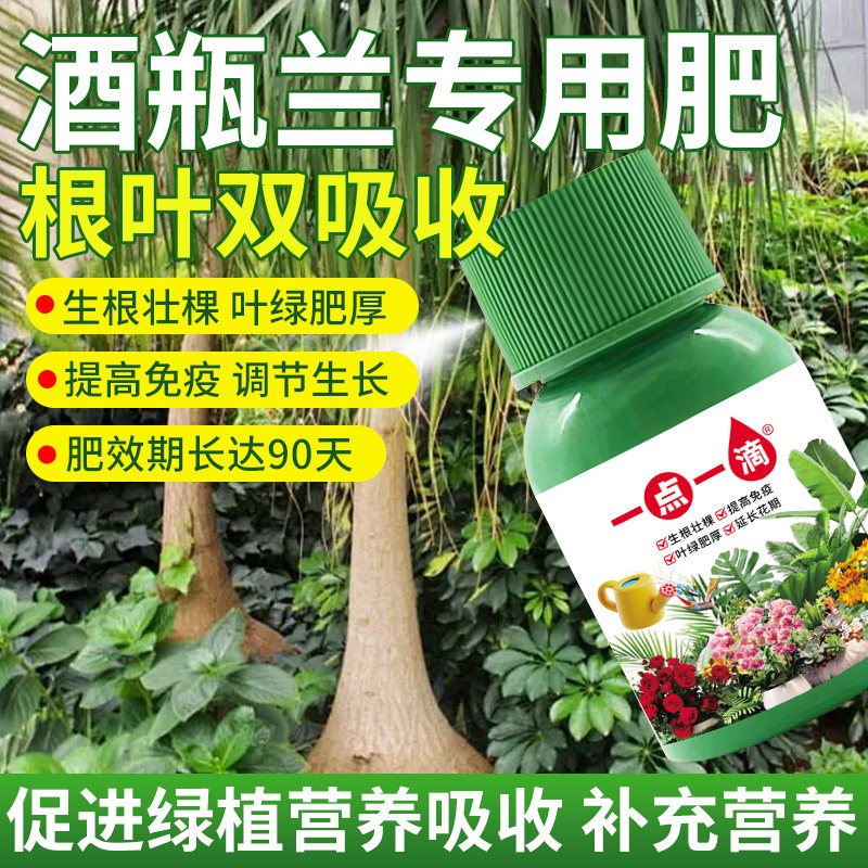酒瓶兰专用肥料水培绿植物营养液发芽防叶子干枯黄蔫锈斑花卉肥料