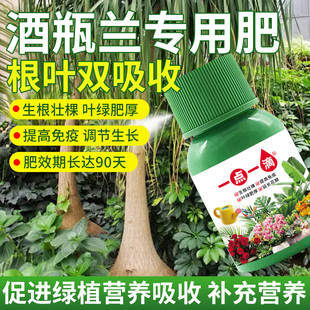 酒瓶兰专用肥料水培绿植物营养液发芽防叶子干枯黄蔫锈斑花卉肥料