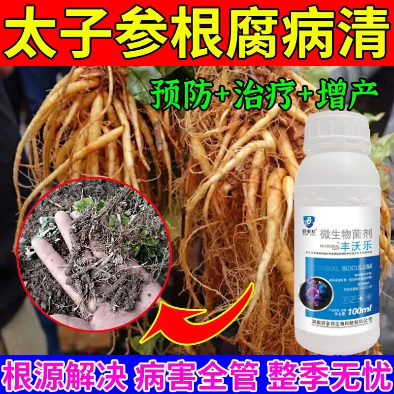 太子参病全治太子参叶斑病专用药疫病病毒病叶斑病花叶病根腐死苗
