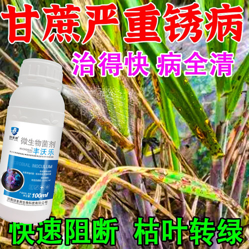 甘蔗病全治稍腐病专用杀菌剂甘蔗锈病叶斑病黑穗赤腐病黄叶黄化病