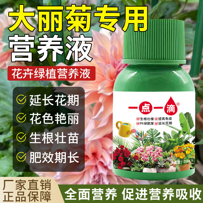 大丽花营养液花卉专用防黄叶烂根不开花花期短延迟花期浓缩肥料液