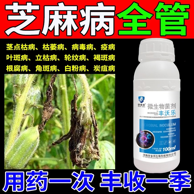 芝麻病全治病菌清净微生物杀菌剂芝麻田地病害黄叶死苗疫病炭疽病