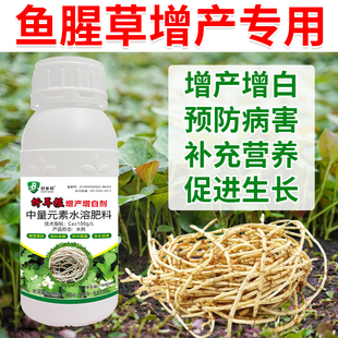 鱼腥草肥料折耳根速长剂增白剂专用生根增粗促长生根茎秆抗病增产