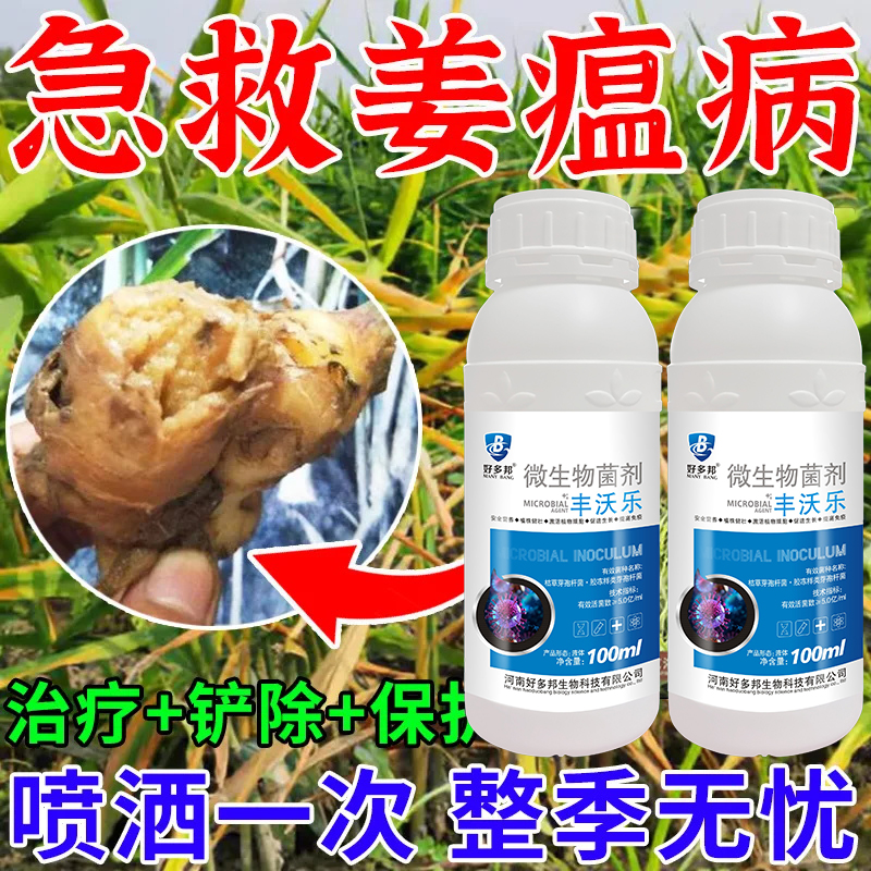 姜瘟清生姜专用干尖黄叶沙杀菌剂烂脖子农病防颈基腐黄萎病专用药