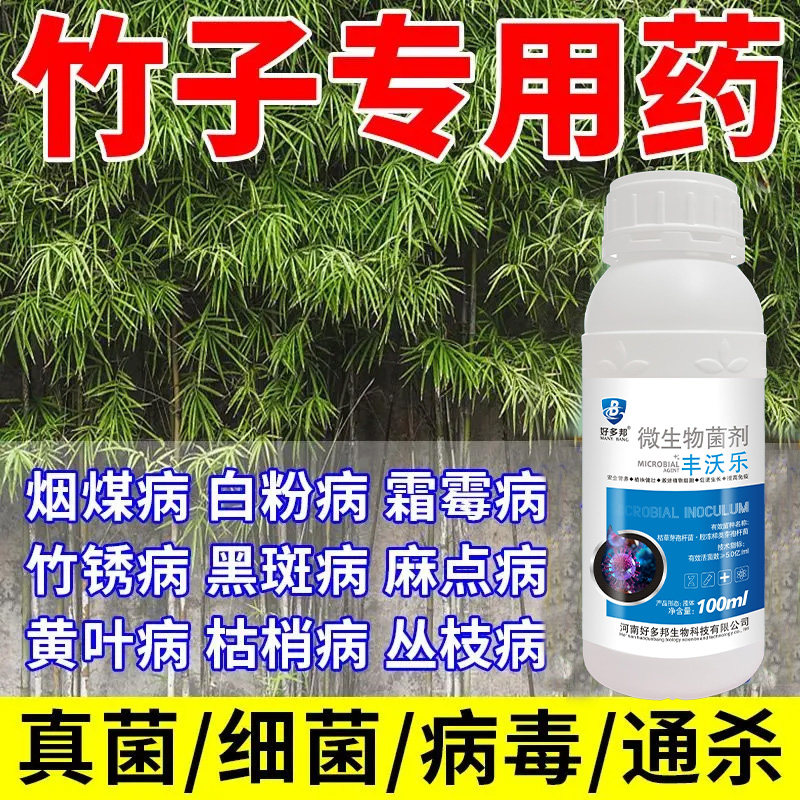 竹子专用药竹子病全治煤污病灰霉病丛枝病黑斑病竹锈病特效杀菌剂