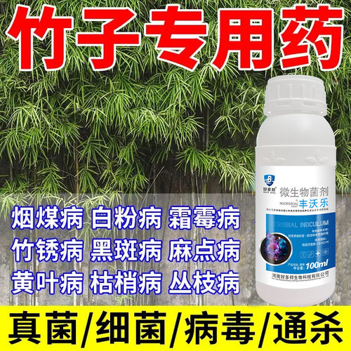 竹子专用药竹子病全治煤污病灰霉病丛枝病黑斑病竹锈病特效杀菌剂