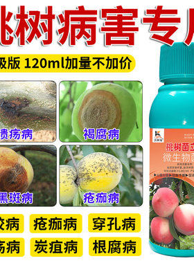 沃柯易桃树菌立净流胶疮痂炭疽褐腐穿孔溃疡卷叶黑斑白粉专用药