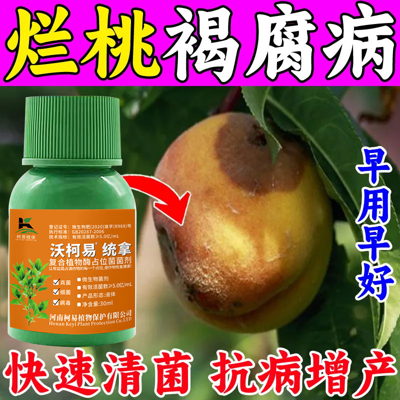 桃树专用药桃子杀菌剂农药缩叶病黑褐斑缩叶病果腐病流胶病杀菌药