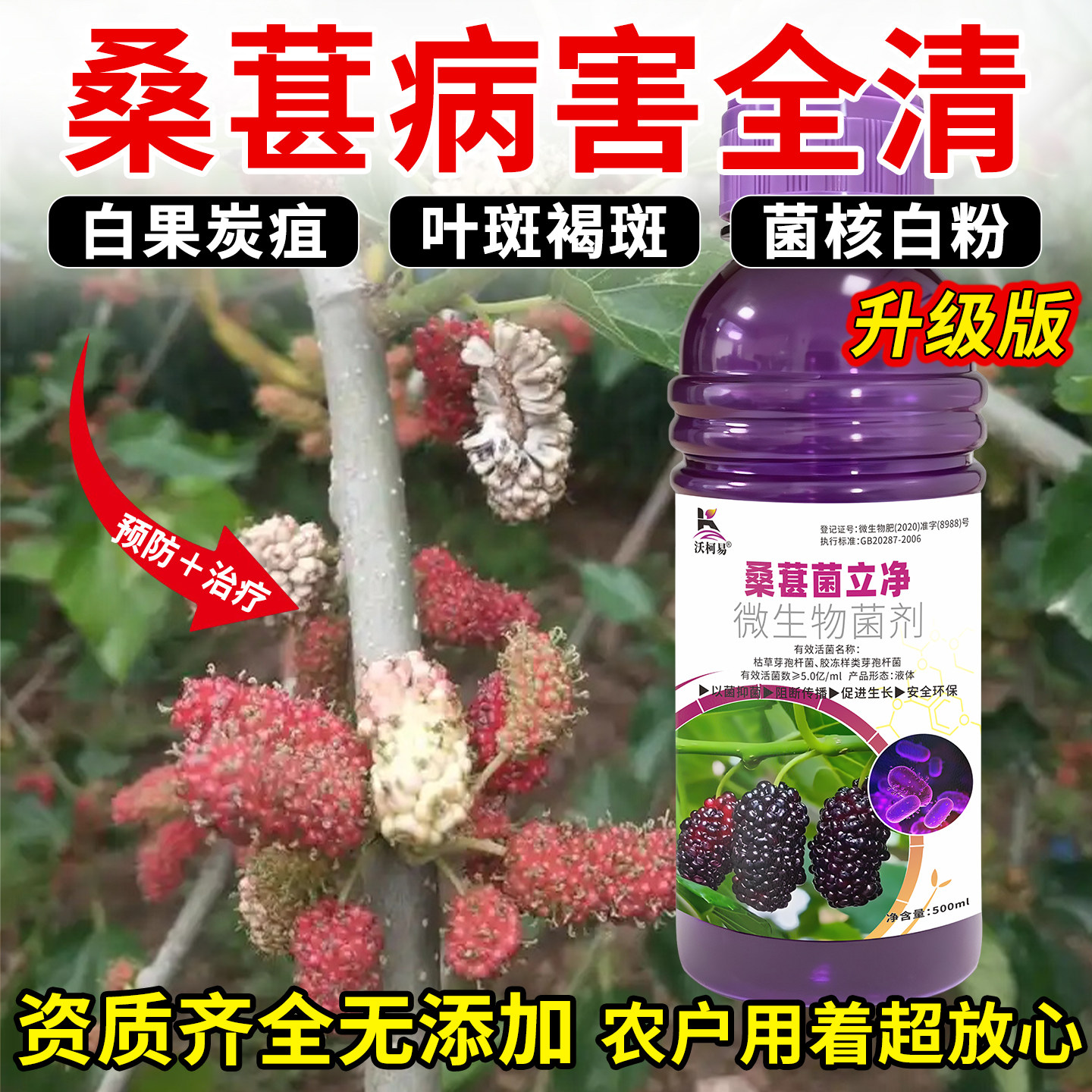 桑葚专用杀菌剂种植帮手白果褐斑污叶青枯菌核断梢炭疽黄叶腐烂